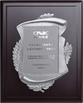 2009 CNNIC Chinese Domain Name Registration Service Provider